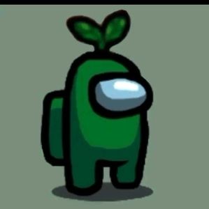 Meet your Posher, Kyra